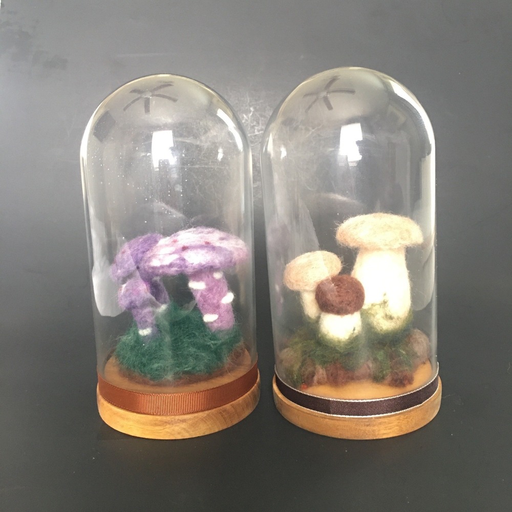 Handmade Felt Mushroom Glass Cloche Dome Terrarium Display Cottagecore Decor Set